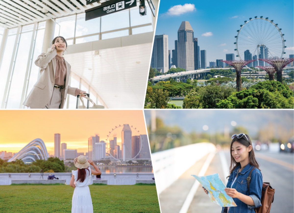 Advanced Diploma in Travel and Tourism Management